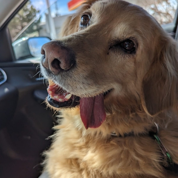 Meet your Posher, Casey - Picture 9 of 12